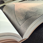 Лимитированное издание Иллюстрации модного дома Book: Dior par Mats Gustafson Vol. II Maria Grazia Chiuri варинант исполнения - 3 | Loft Concept в Санкт-петербурге