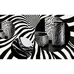 Редкое коллекционное издание Casa Cavalli Home: Celebrating the Roberto Cavalli Lifestyle Зебра варинант исполнения - 4 | Loft Concept в Санкт-петербурге