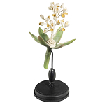 Статуэтка Wonderboom варинант исполнения - 2 | Loft Concept в Санкт-петербурге