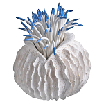 Статуэтка тропический фрукт Tropical Fruit White Blue варинант исполнения - 2 | Loft Concept в Санкт-петербурге