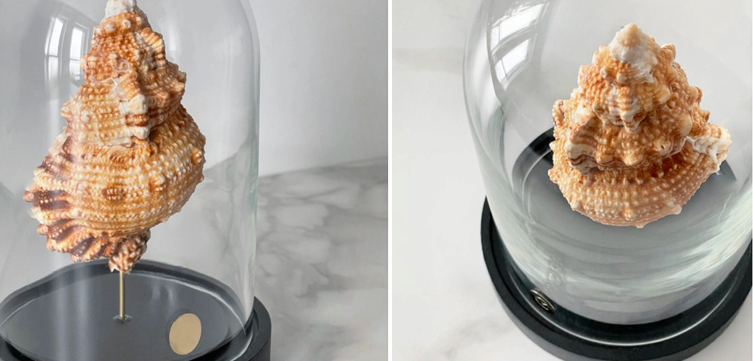 Статуэтка Bursa Rubeta Glass Cloche Статуэтка Bursa Rubeta Glass Cloche - Loft-Concept в Санкт-петербурге