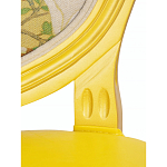 Стул French Juicy yellow варинант исполнения - 6 | Loft Concept в Санкт-петербурге