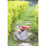 Кашпо The Proud Swan варинант исполнения - 6 | Loft Concept в Санкт-петербурге