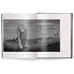 Книга Beusker. Look into my Eyes варинант исполнения - 1 | Loft Concept в Санкт-петербурге