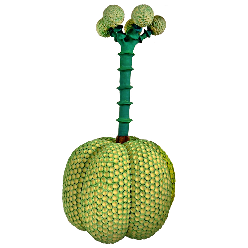 Статуэтка Зеленый тропический фрукт Pandora Tropical Light Green 69 Салатовый Мульти в Санкт-петербурге | Loft Concept 