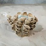 Ваза из серии «Волнение 3» варинант исполнения - 2 | Loft Concept в Санкт-петербурге