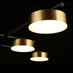 Люстра потолочная светодиодная Delayn варинант исполнения - 2 | Loft Concept в Санкт-петербурге