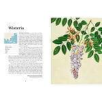 Прекрасно иллюстрированная книга более 100 ботанических произведений Plant Hunters Atlas варинант исполнения - 4 | Loft Concept в Санкт-петербурге
