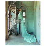 Редкое коллекционное издание Tim Walker Pictures 2016 варинант исполнения - 1 | Loft Concept в Санкт-петербурге