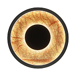 Бра круглое Gold Sun Lighting  варинант исполнения - 1 | Loft Concept в Санкт-петербурге