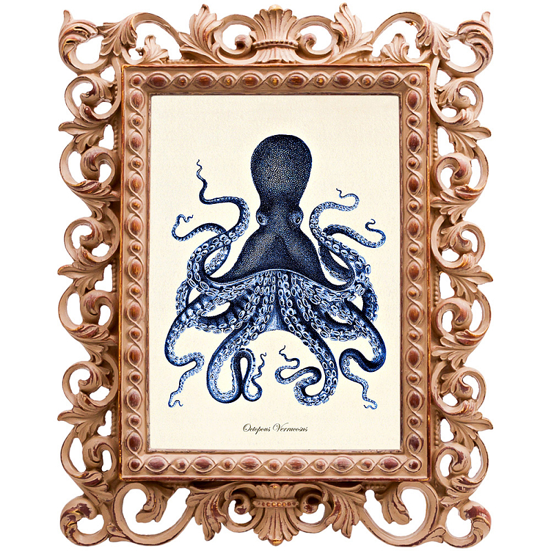 Постер Blue Octopus Poster Бежевый Морская синь в Санкт-петербурге | Loft Concept 