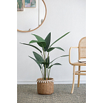 Декоративный искусственное растение Decor Stile  варинант исполнения - 5 | Loft Concept в Санкт-петербурге