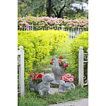 Кашпо The self-confident swan варинант исполнения - 8 | Loft Concept в Санкт-петербурге